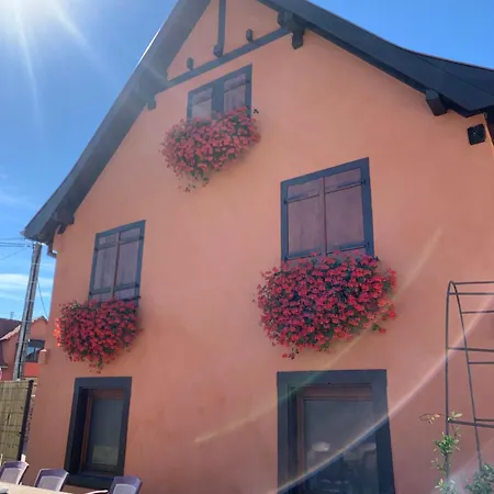 Petit Fronholz * Epfig